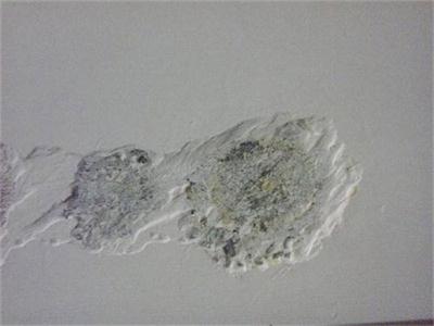 墙面乳胶漆发霉怎么办？如何进行防范