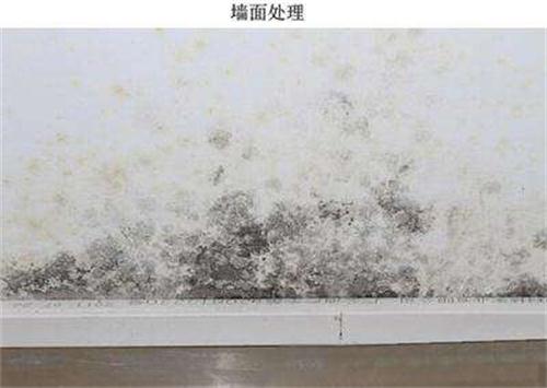 教你用四种常见的墙面翻新方法_墙面翻新|大荷水性漆
