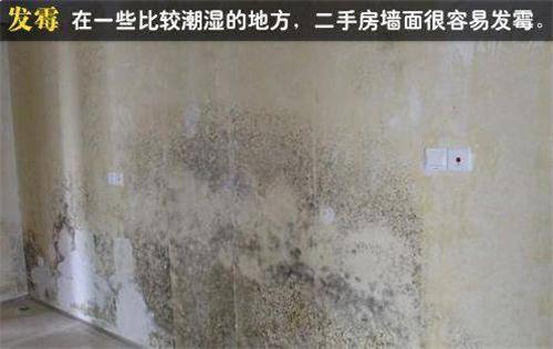 购买墙面漆后一系列的问题_墙面漆|大荷水性漆