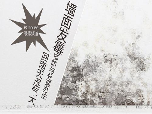 墙面漆日常护理的方法_墙面乳胶漆|大荷水性漆